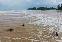 கிளந்தான் கடற்கரையில் தெருநாய்கள் தாக்கியதில் 8 வயது சிறுவன் காயம்
