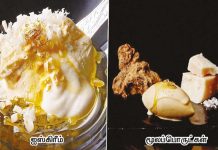 உலகளவில் மிக அதிகம்: ஜப்பானில் ஒரு ஐஸ்கிரீமின் விலை ரூ.5 லட்சம்!…..