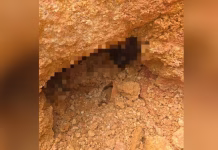 குழி தோண்டியபோது உயிருடன் புதைந்த நபர்