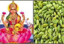 ஏகாதசி ஏலக்காய் பரிகாரம்